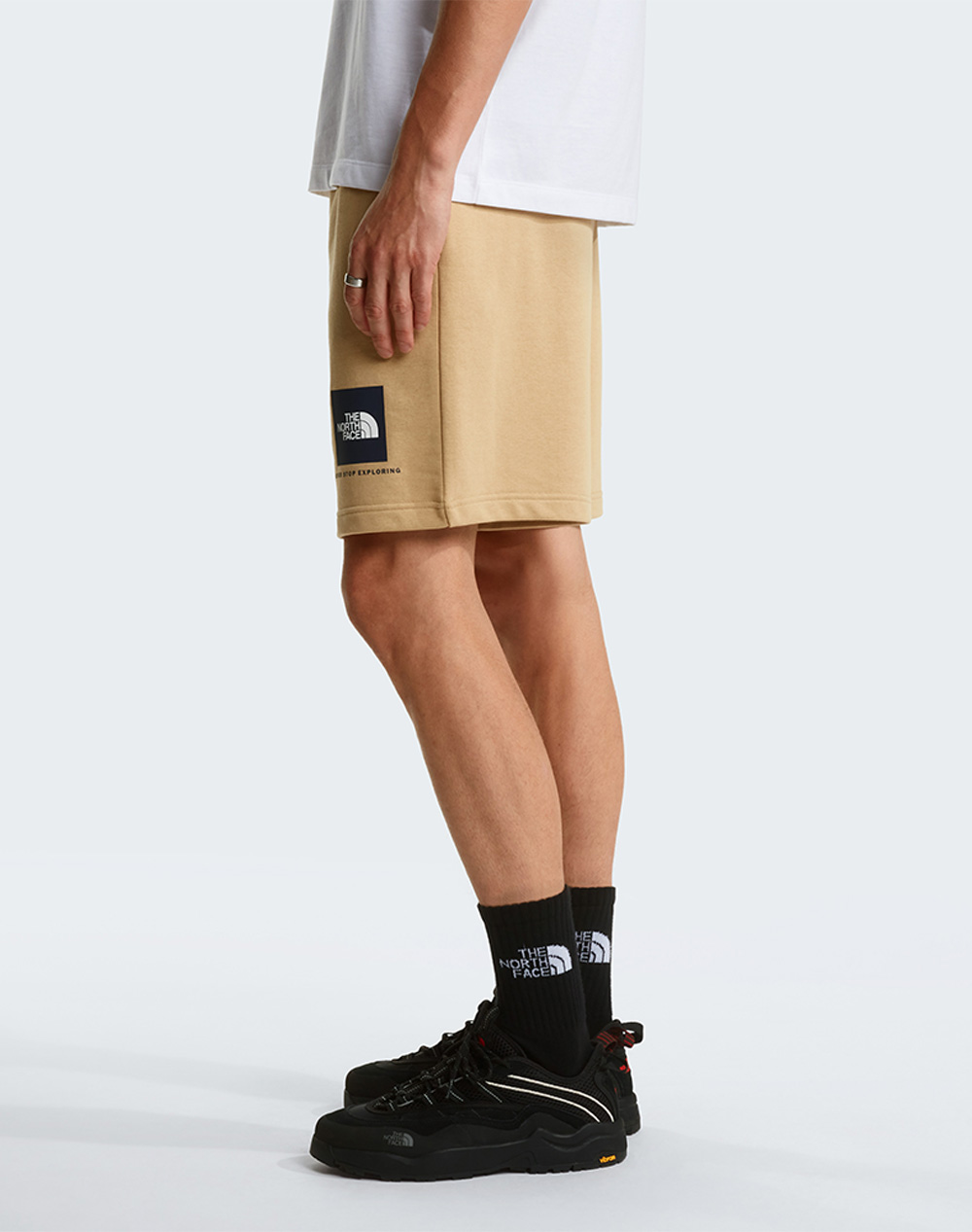 THE NORTH FACE M BOX NSE LT RG