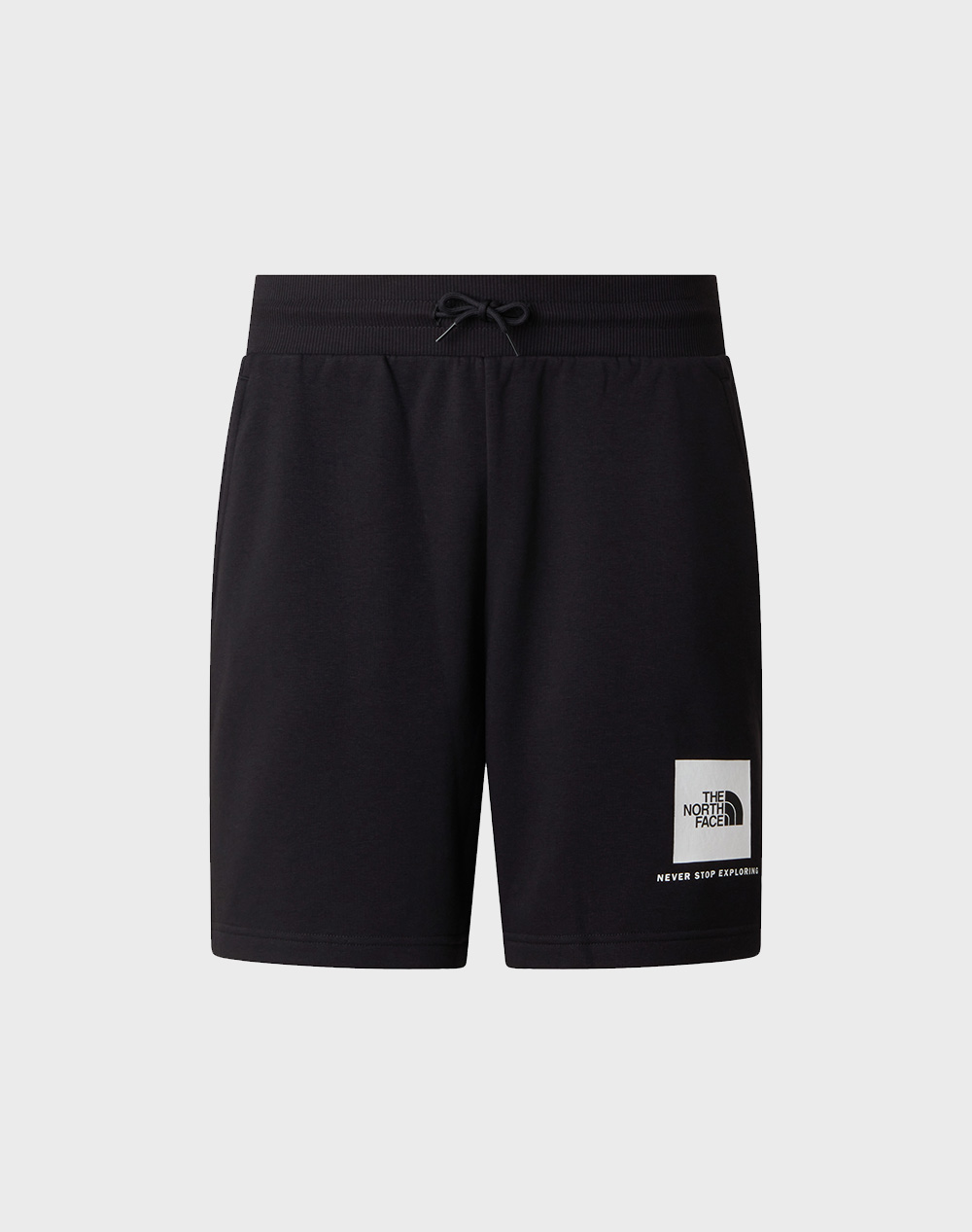 THE NORTH FACE M BOX NSE LT RG