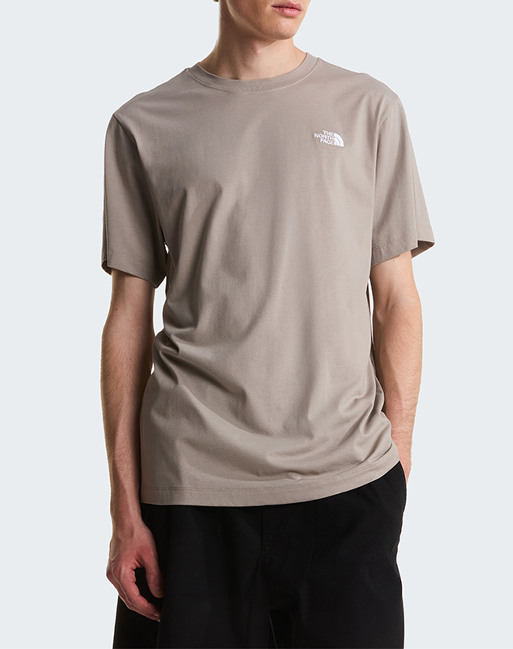 THE NORTH FACE M EVO SD REG SS TEE
