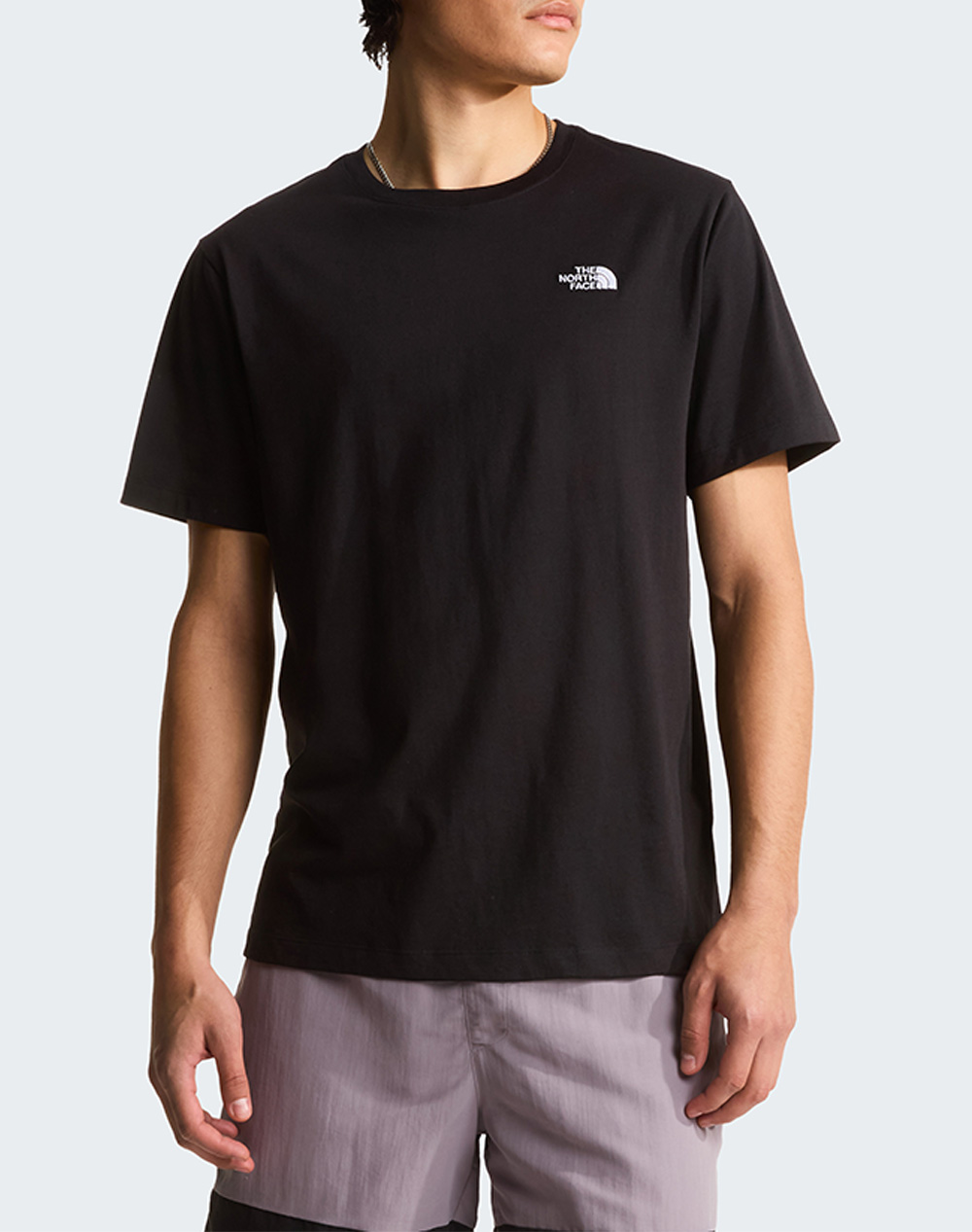 THE NORTH FACE M EVO SD REG SS TEE