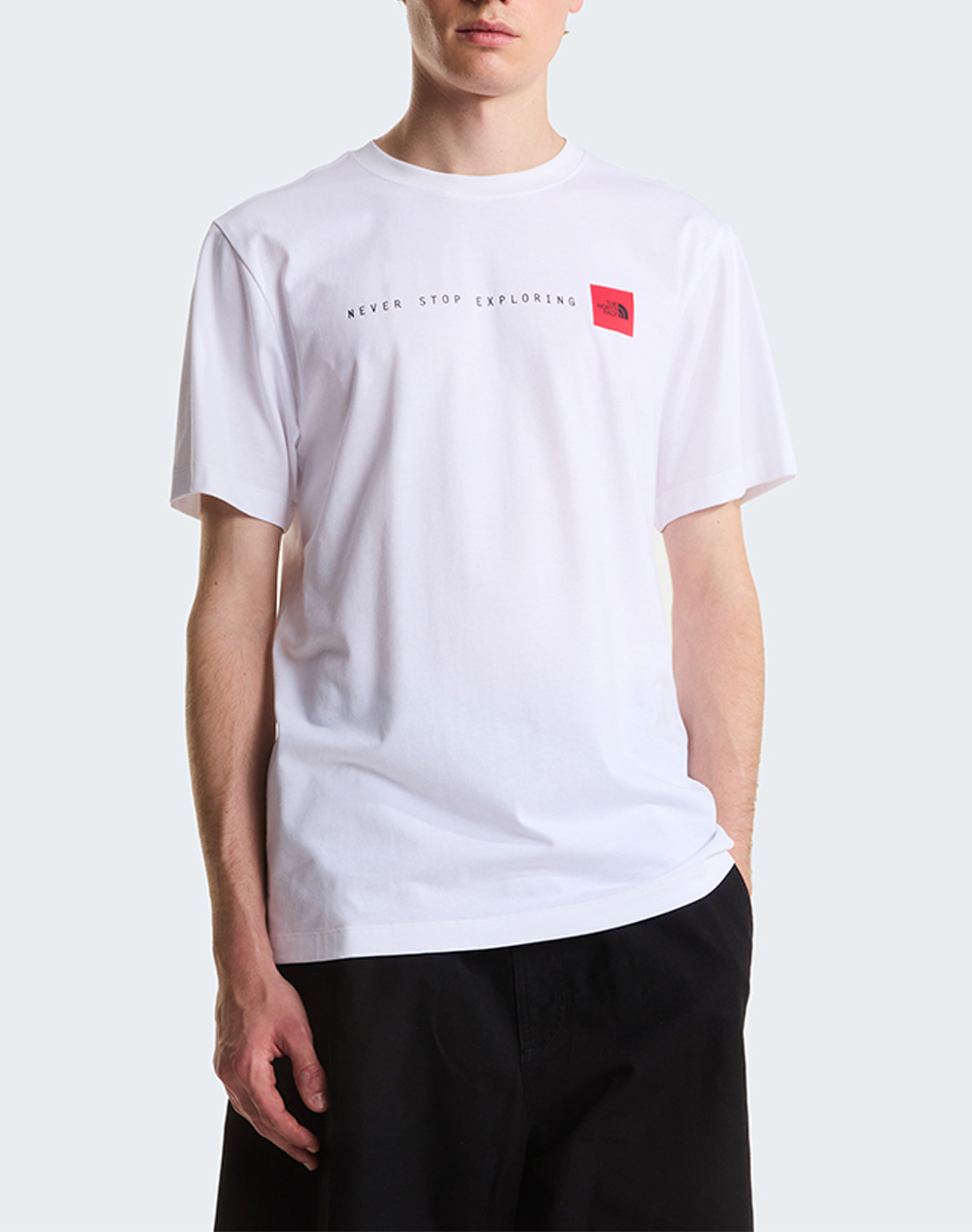 THE NORTH FACE M NSE REG SS TEE-GRAPHI