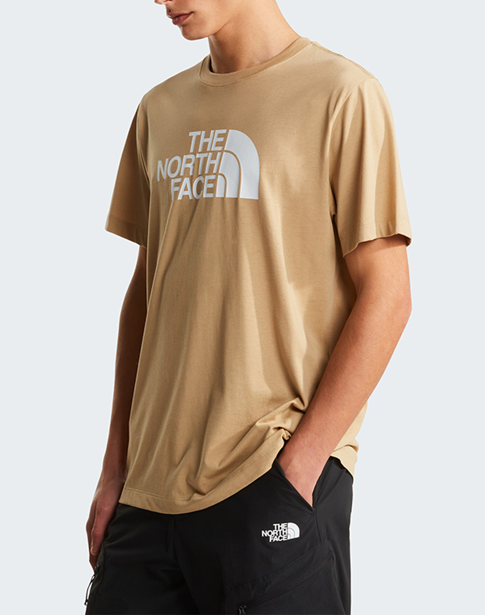 THE NORTH FACE M EVO HLF DME REG SS T