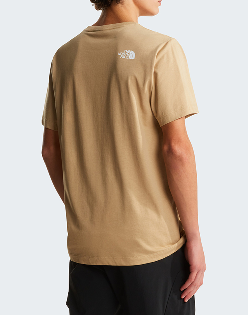 THE NORTH FACE M EVO HLF DME REG SS T