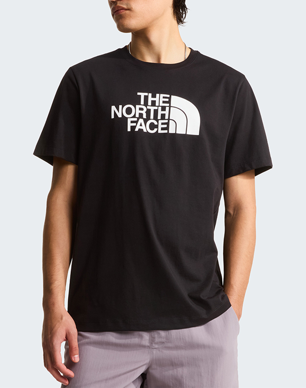THE NORTH FACE M EVO HLF DME REG SS T