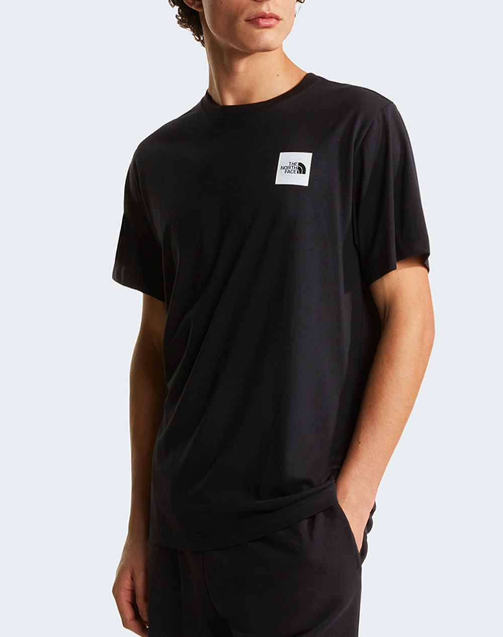 THE NORTH FACE M EVO BOX HD RG SS T