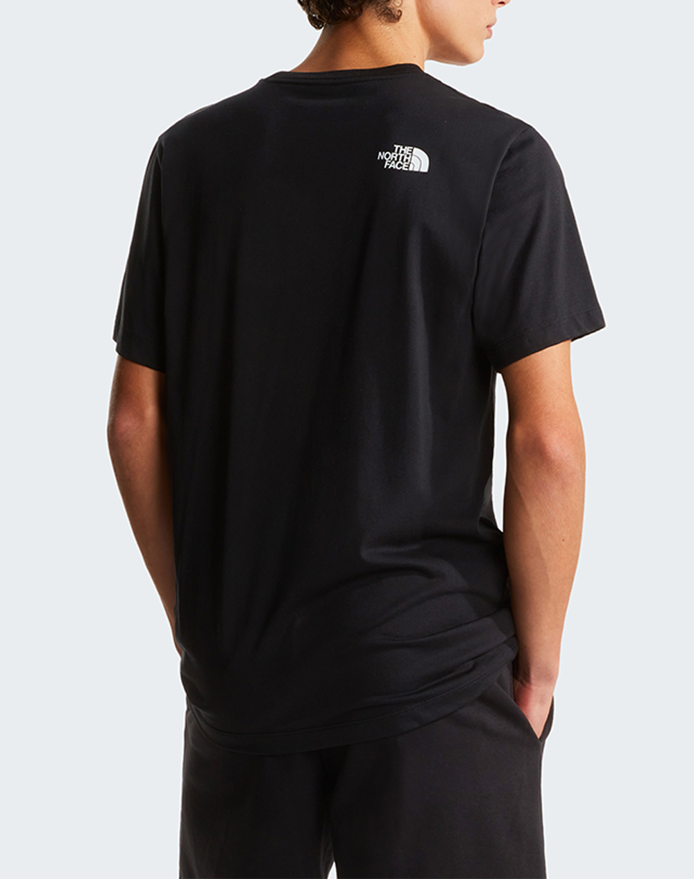 THE NORTH FACE M EVO BOX HD RG SS T