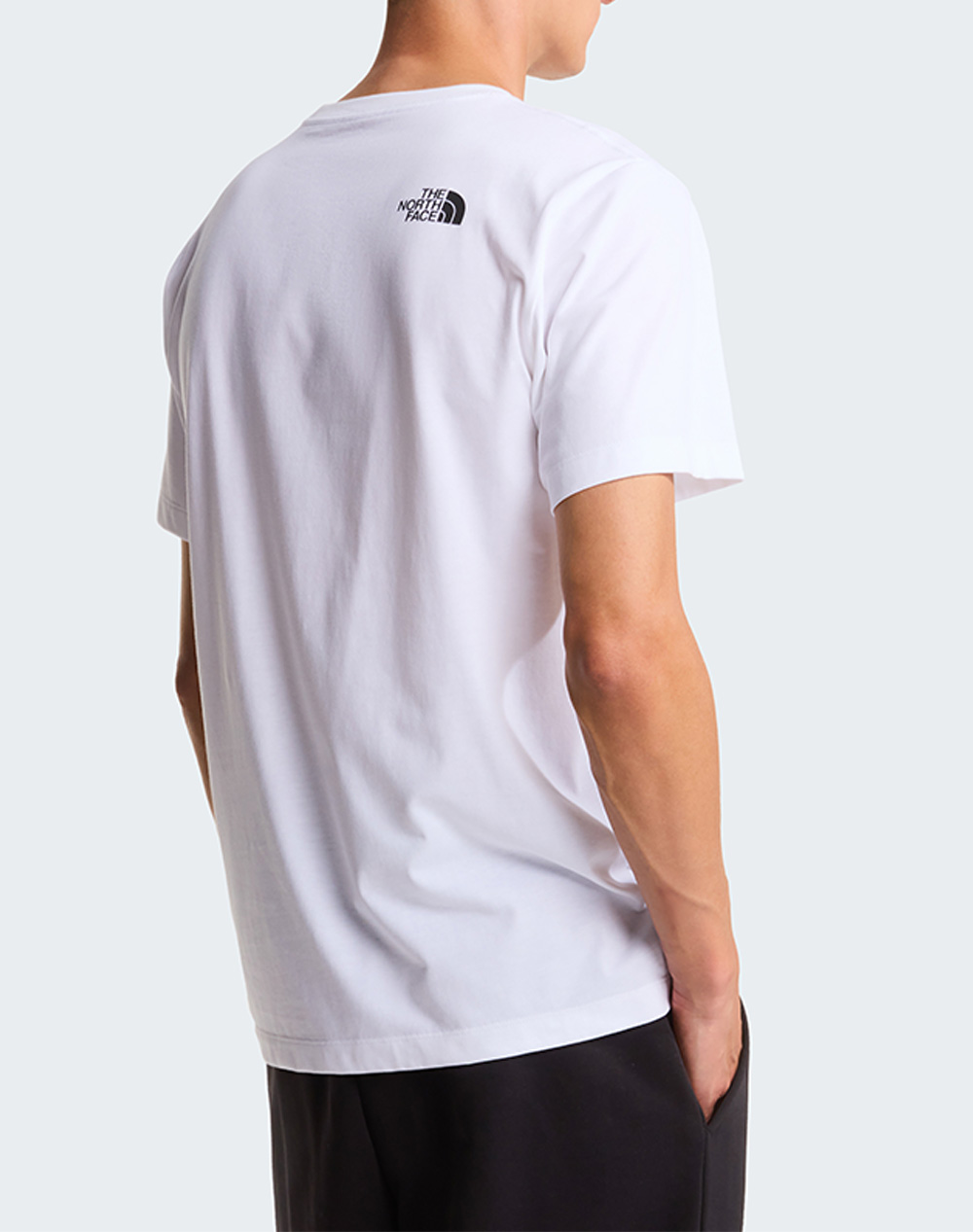 THE NORTH FACE M EVO BOX HD RG SS T