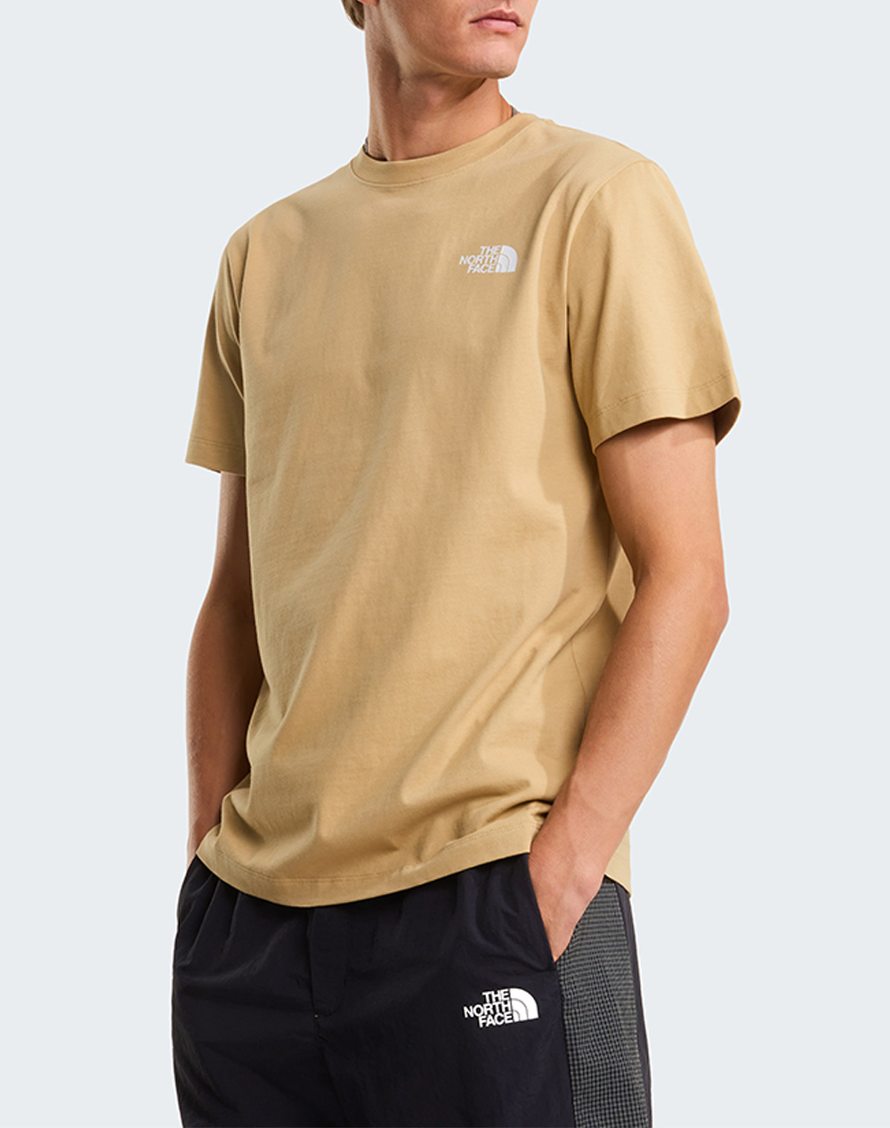 THE NORTH FACE M NORTH FACES REG SS T