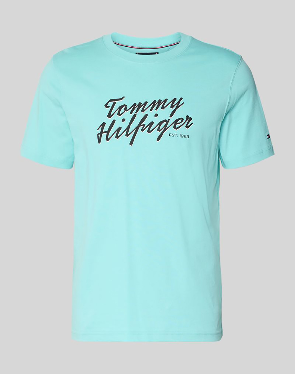 TOMMY HILFIGER SUMMER TEXT GRAPHIC TEE
