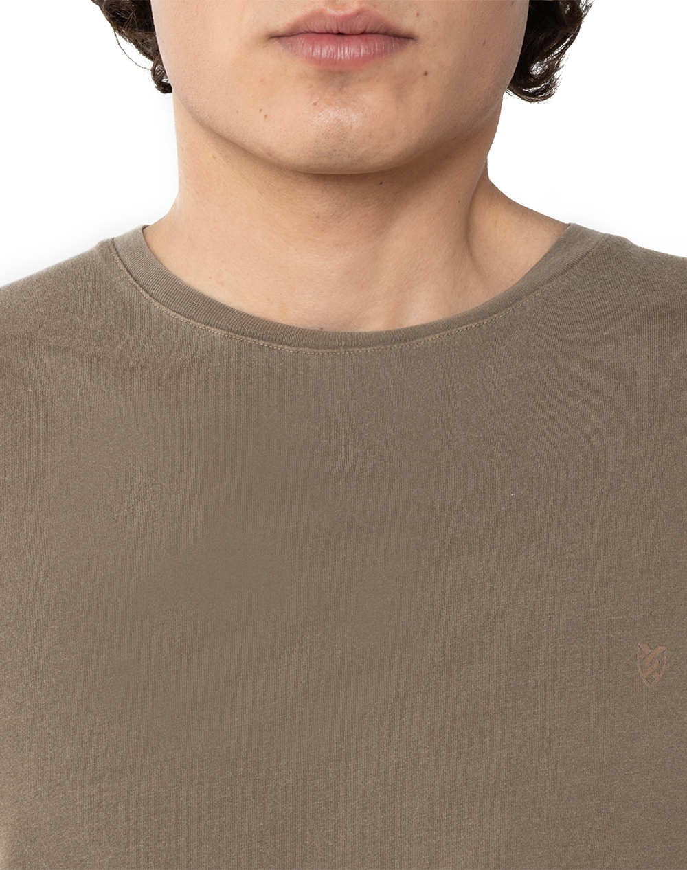 THE BOSTONIANS БЛУЗА T-SHIRT DELAVE REGULAR FIT