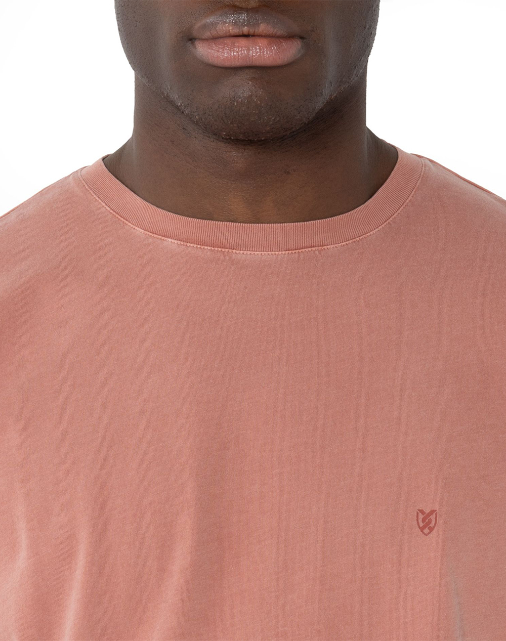 THE BOSTONIANS БЛУЗА T-SHIRT DELAVE REGULAR FIT