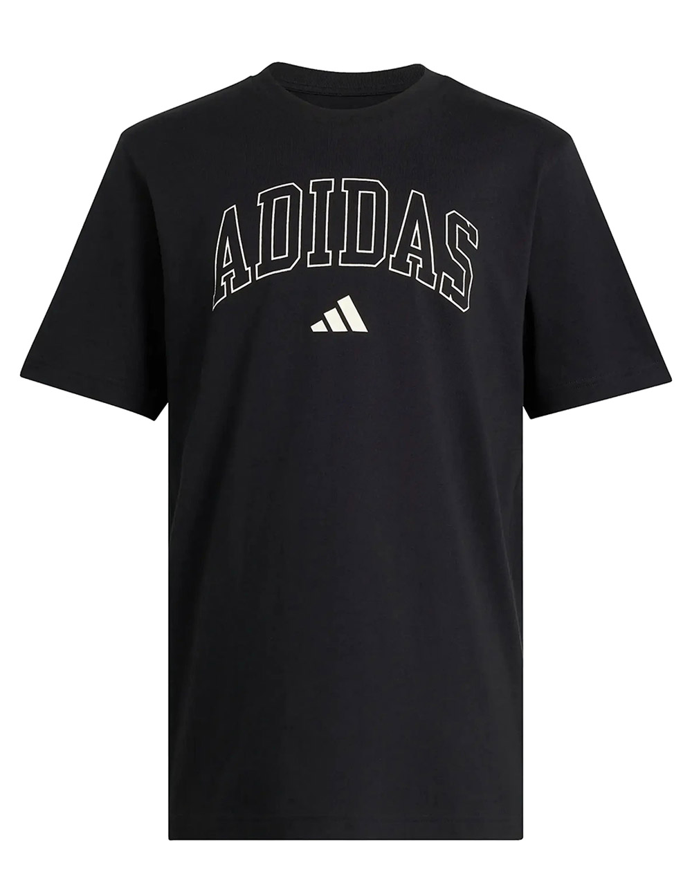 ADIDAS M COLLEGIATE T