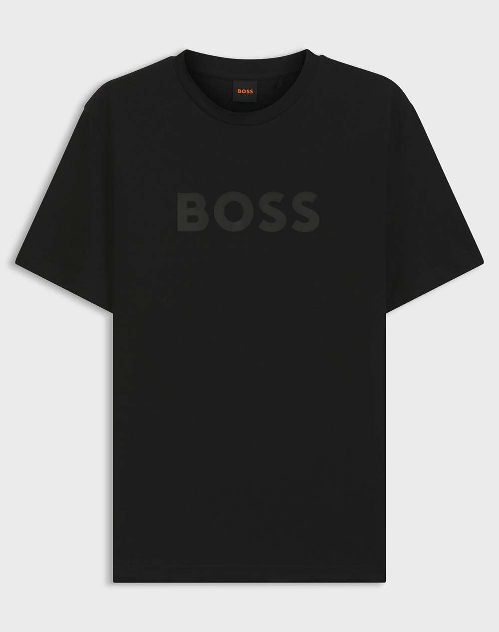 BOSS Te_Logo 10246016 01