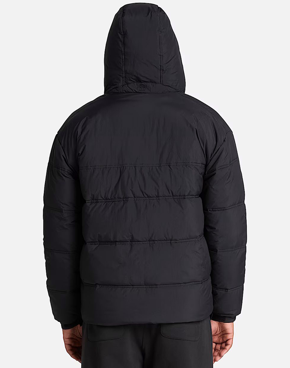 TIMBERLAND FRBK DWR Synthetic Puffer Ja