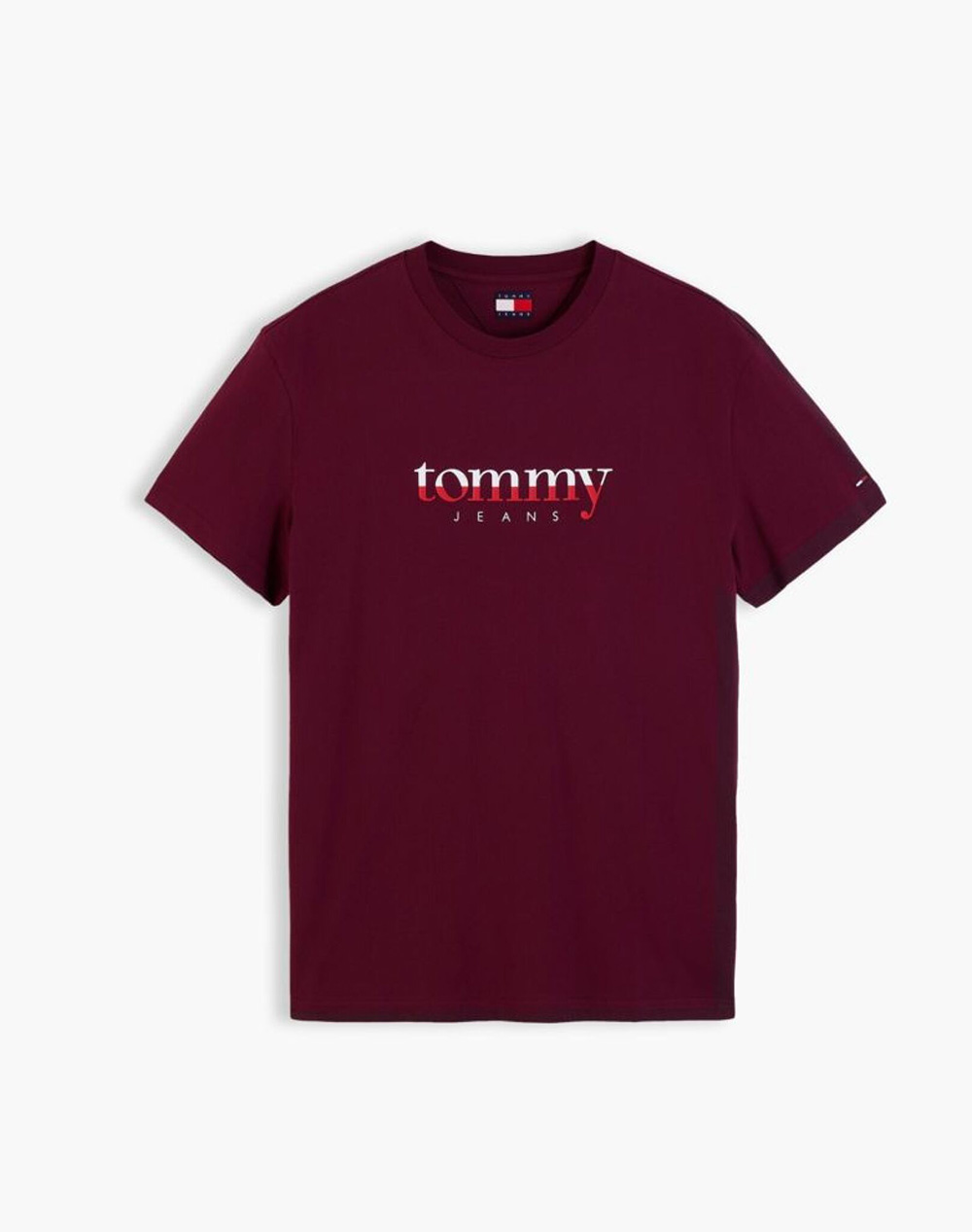 TOMMY JEANS TJM REG DNA TEE EXT