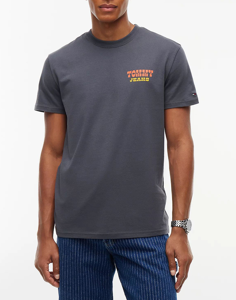 TOMMY JEANS TJM REG NOVELTY TEE