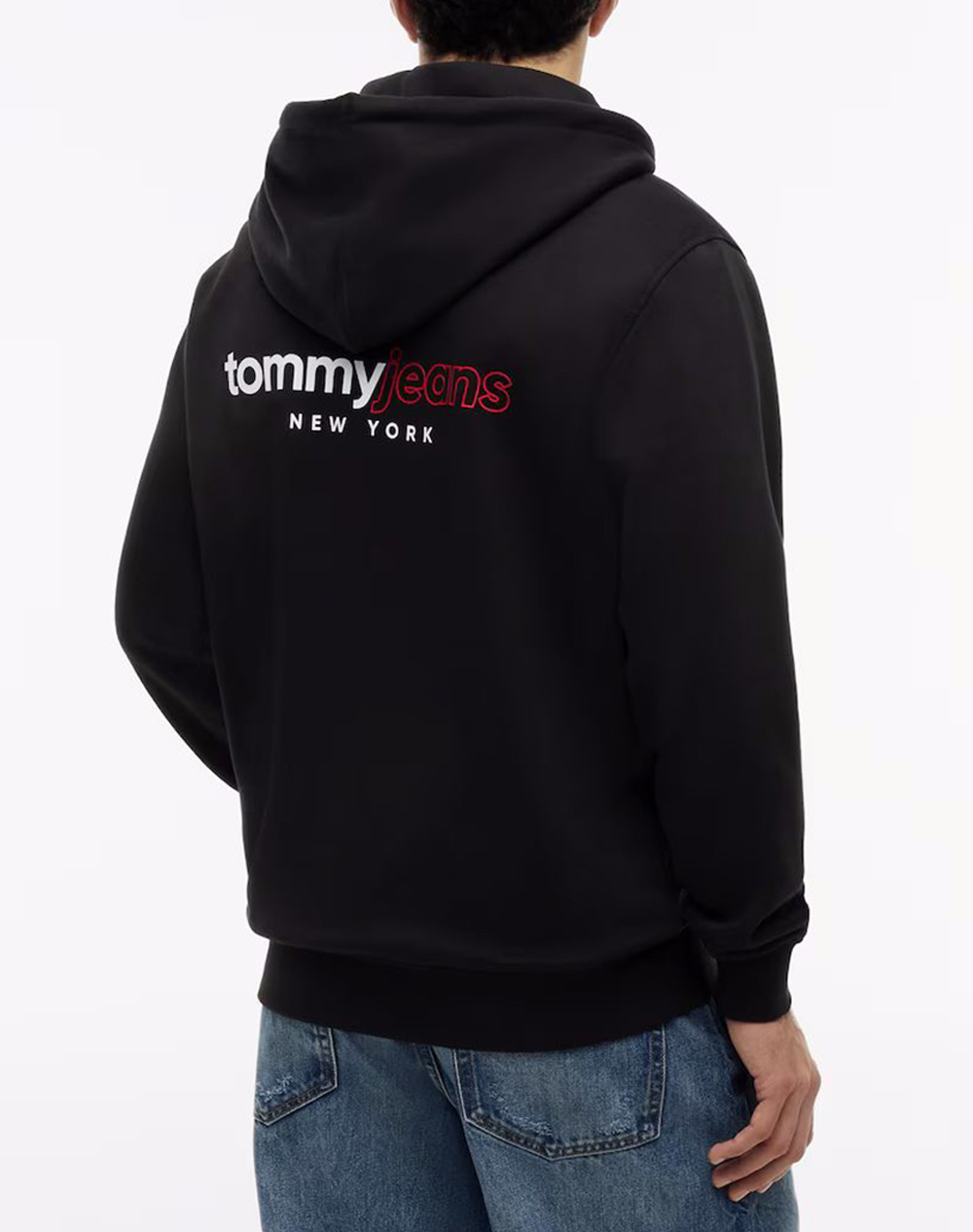 TOMMY JEANS TJM REG DNA BACKPRINT FZ HD