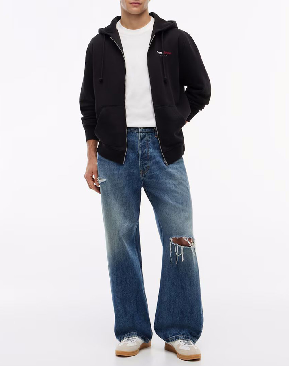 TOMMY JEANS TJM REG DNA BACKPRINT FZ HD