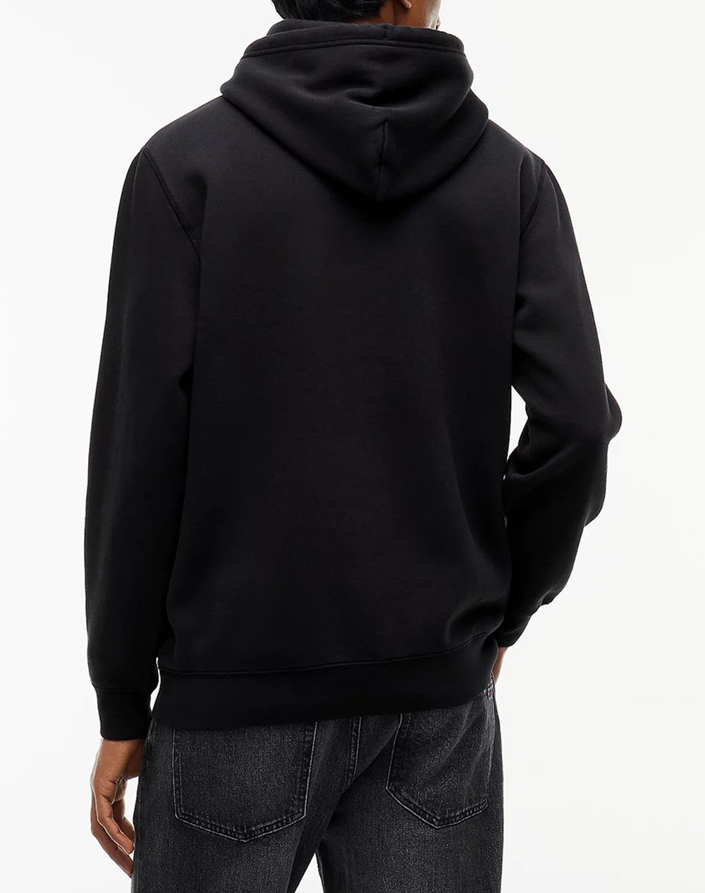 TOMMY JEANS TJM REG BADGE HOODIE EXT