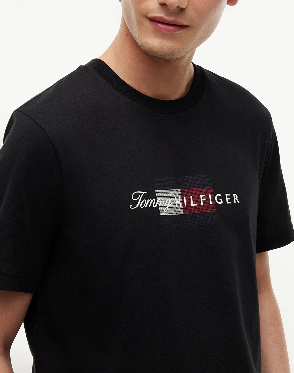 TOMMY HILFIGER SCRIPT FLAG REGULAR TEE