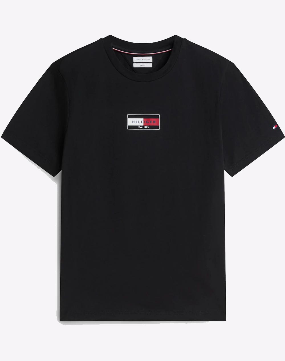 TOMMY HILFIGER BRAND LOVE SMALL FLAG TEE