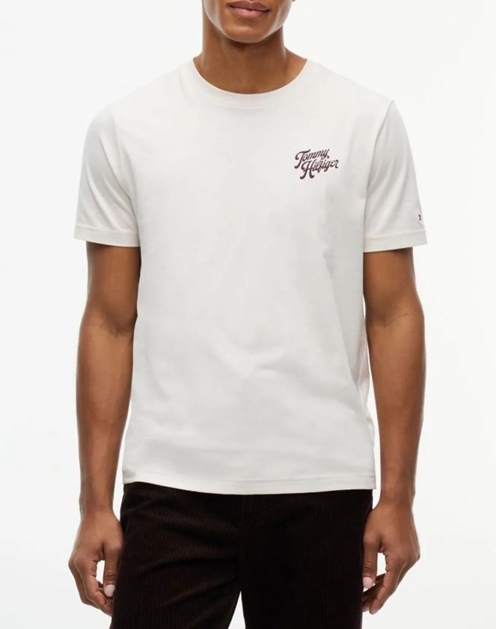 TOMMY HILFIGER IC GRAPHIC BACK PRINT TEE