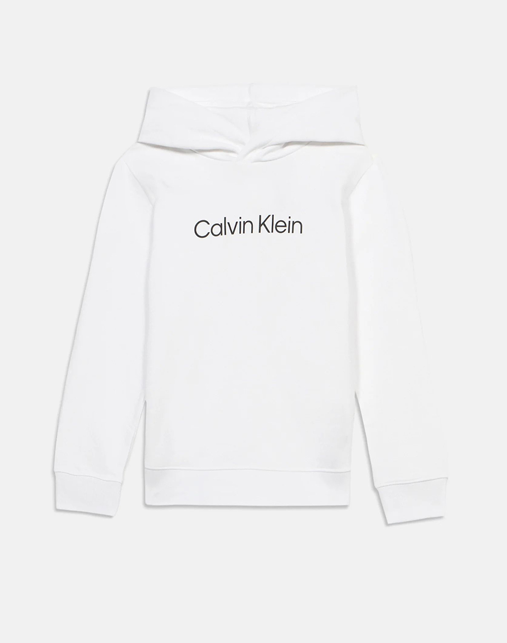 CALVIN KLEIN JEANS INST. LOGO REG. TERRY HOODIE