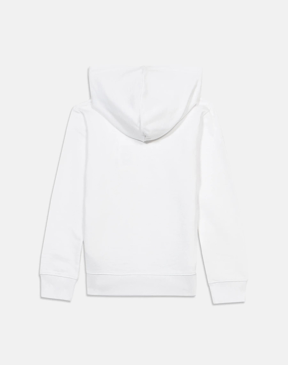 CALVIN KLEIN JEANS INST. LOGO REG. TERRY HOODIE