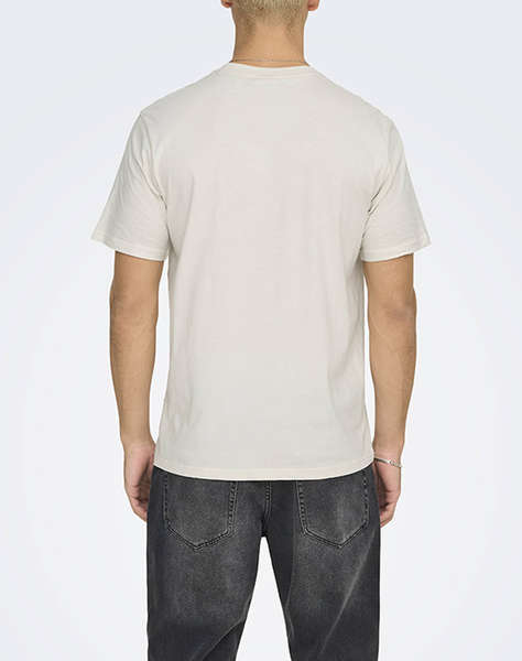 ONLY&SONS ONSDAWSON REG SS TEE VD
