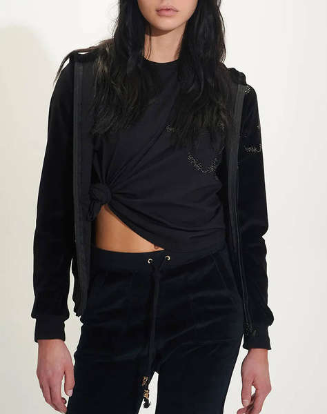 SUGARFREE JACKET