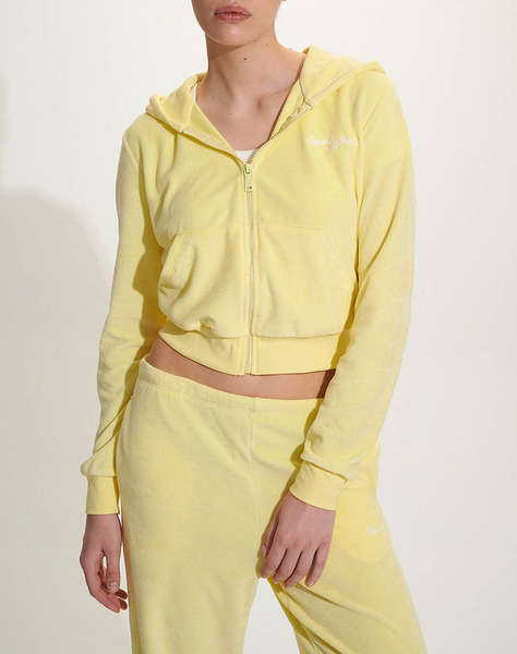 SUGARFREE JACKET