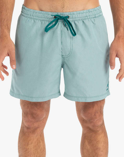 QUIKSILVER EVERYDAY DELUXE VOLLEY 15 MEN''S SWIMSUIT