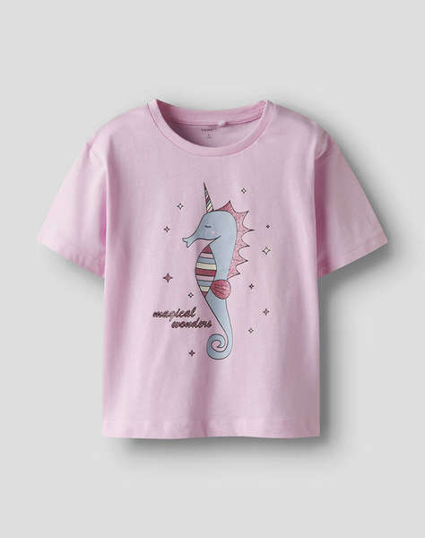 NAME IT NMFFREJANE SS NREG TOP