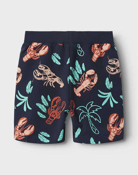 NAME IT NMMFIN NREG SHORTS UNB