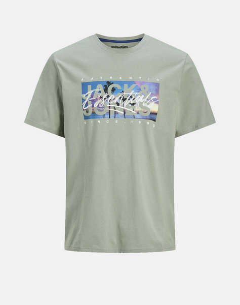 JACK&JONES JJCOLTON PHOTOPRINT TEE SS CREW NECK