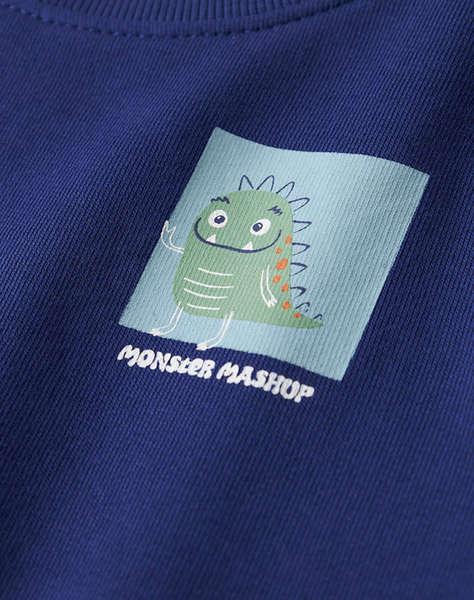 NAME IT NMMVASHA LS NREG SWEAT UNB