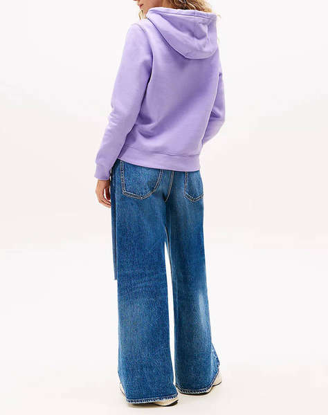 TOMMY JEANS TJW REG S FLAG HOODIE