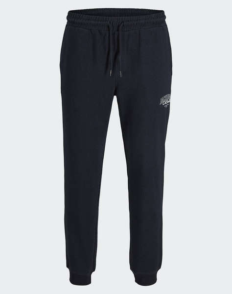 JACK&JONES JPSTGORDON MAKOTO SWEAT PANTS