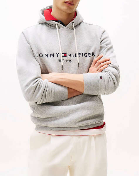 TOMMY HILFIGER TOMMY LOGO HOODY