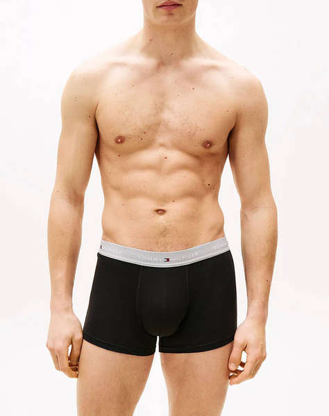 TOMMY HILFIGER 3P WB TRUNK
