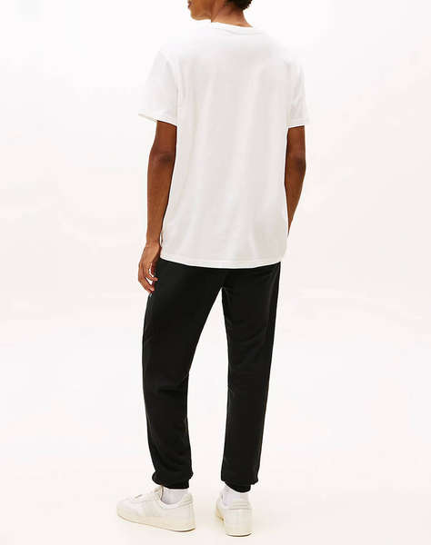 TOMMY JEANS TJM REG DNA TEE EXT