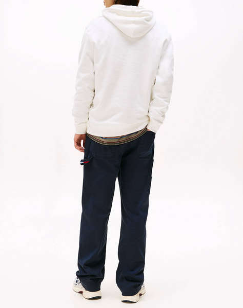 TOMMY JEANS TJM REG DNA HOODIE EXT