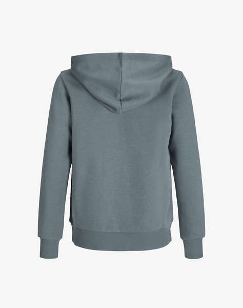 JACK&JONES JJPAN SWEAT HOOD JNR