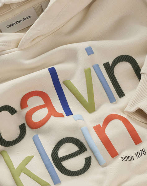 CALVIN KLEIN COLOR LOGO GRAPHIC TERRY HOODIE