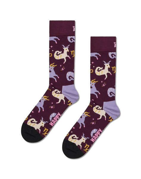 HAPPY SOCKS Capricorn Sock
