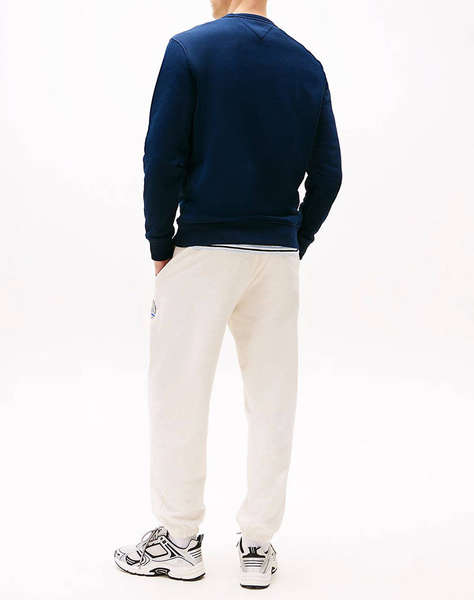 TOMMY JEANS TJM REG BADGE CREW EXT