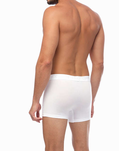 MINERVA BOXER REGULAR MENG.BASIC 2PCS