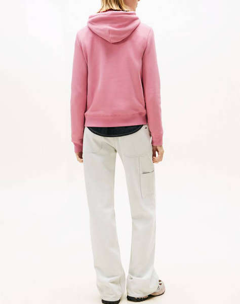 TOMMY JEANS TJW REG LINEAR HOODIE EXT