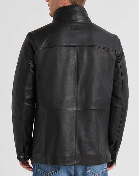 MILESTONE MSBernardo