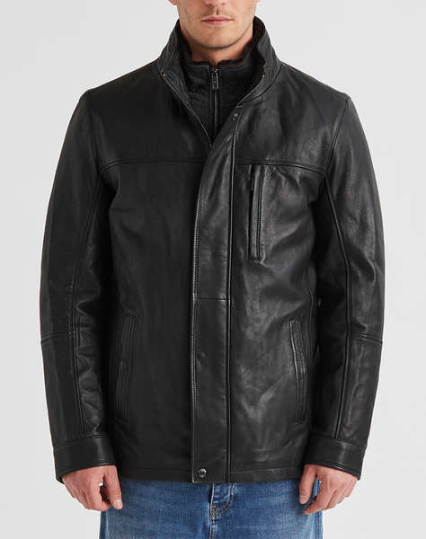 MILESTONE MSBernardo